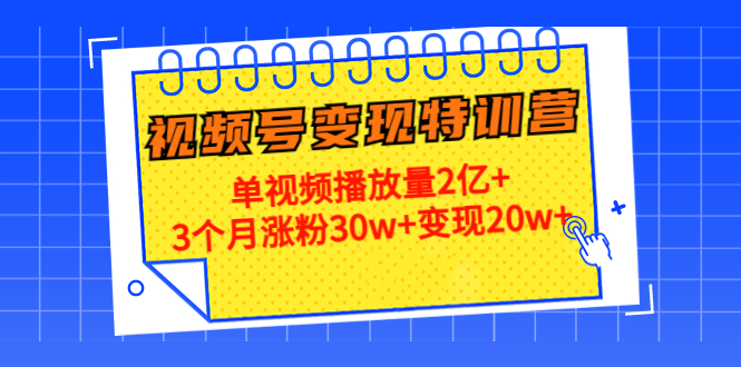 21天视频号变现特训营：单视频播放量2亿+3个月涨粉30w+变现20w+（第14期）插图