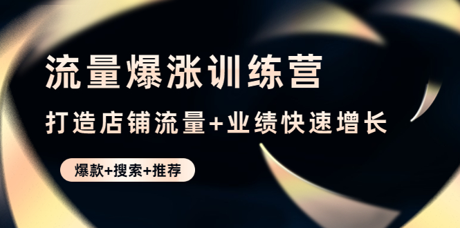 流量爆涨训练营：打造店铺流量+业绩快速增长 (爆款+搜索+推荐)【无水印】插图