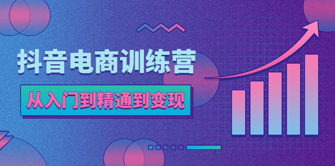 抖音电商训练营：从入门到精通，从账号定位到流量变现，抖店运营实操插图