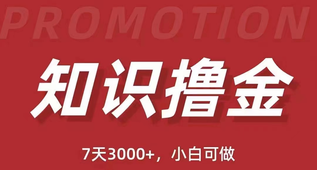 抖音知识撸金项目简单粗暴日入1000+，小白可做（教程+资料）插图