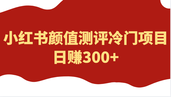 外面4980的项目，小红书颜值测评冷门项目，日赚300+插图