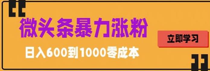 微头条暴力涨粉技巧搬运文案就能涨几万粉丝，简单0成本，日赚600插图