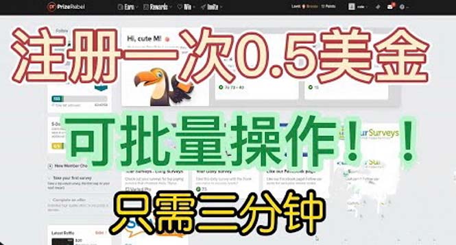 国外项目注册一次0.5美金 只需三分钟无脑操作 可批量放大 小白工作室福利插图