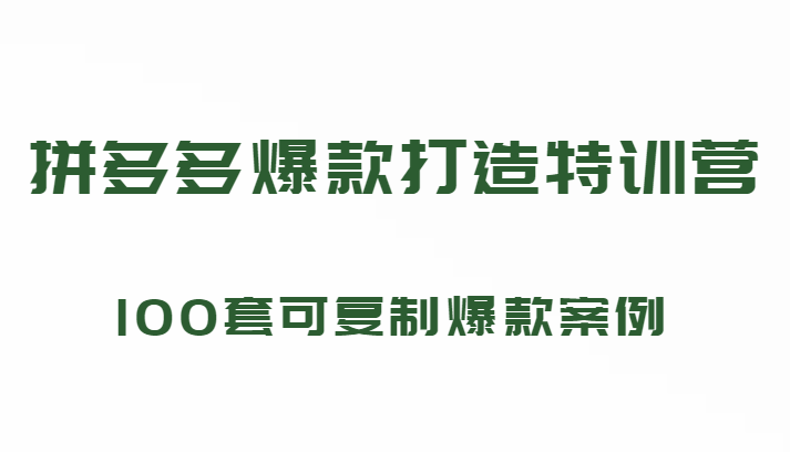 拼多多爆款打造特训营，199元*100套可复制爆款案例（持续更新中)插图