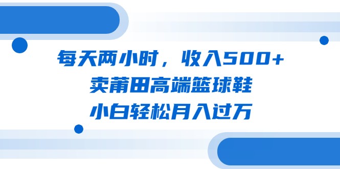 每天两小时，收入500+，卖莆田高端篮球鞋，小白轻松月入过万（教程+素材）插图