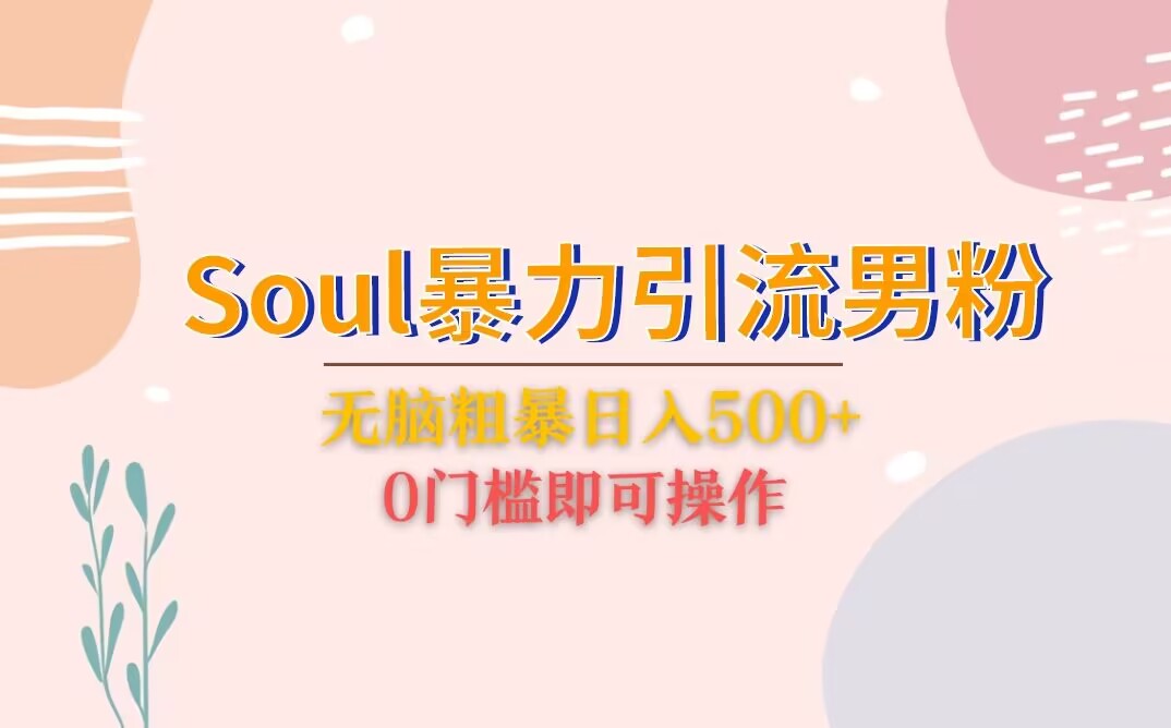 Soul暴力引流男粉玩法，无脑粗暴日入500＋，0门槛即可操作插图