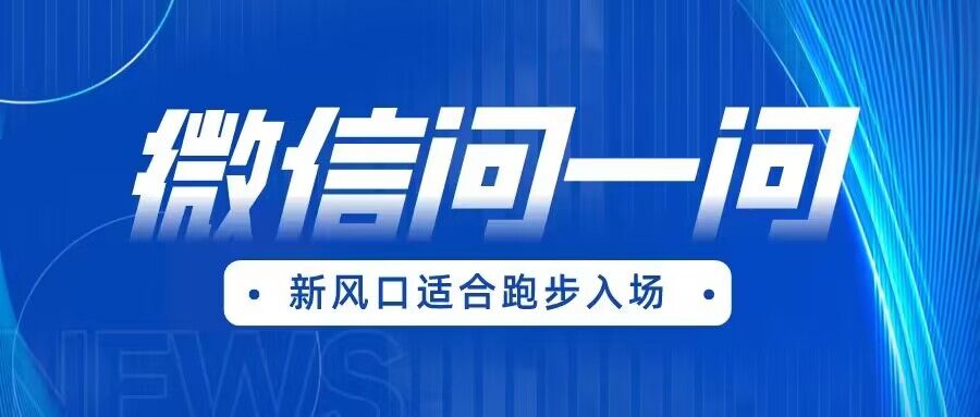 全网首发微信问一问新风口变现项目（价值1999元）插图