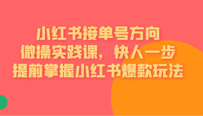 小红书接单号方向微操实践课，快人一步提前掌握小红书爆款玩法插图