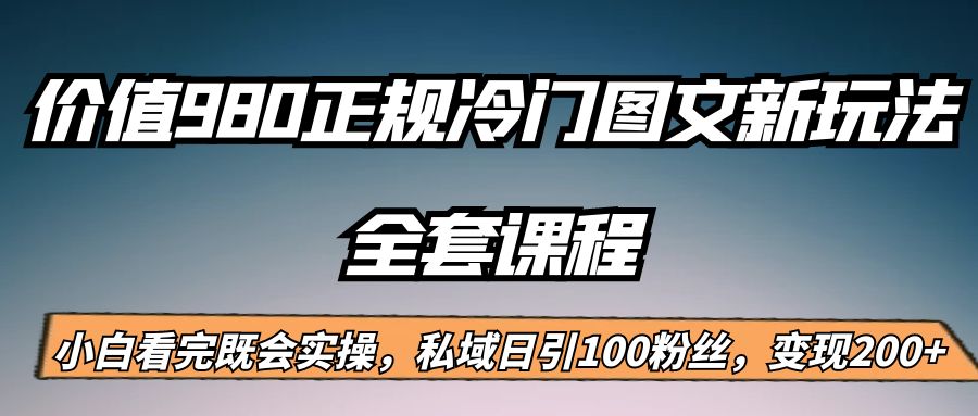 外面卖980的正规冷门图文新玩法，私域日引100粉丝，变现200+插图