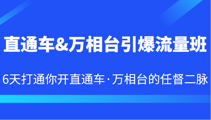 直通车&万相台引爆流量班 6天打通你开直通车·万相台的任督二脉插图