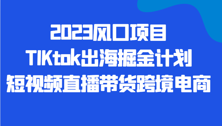 2023风口项目TIKtok出海掘金计划短视频直播带货跨境电商插图