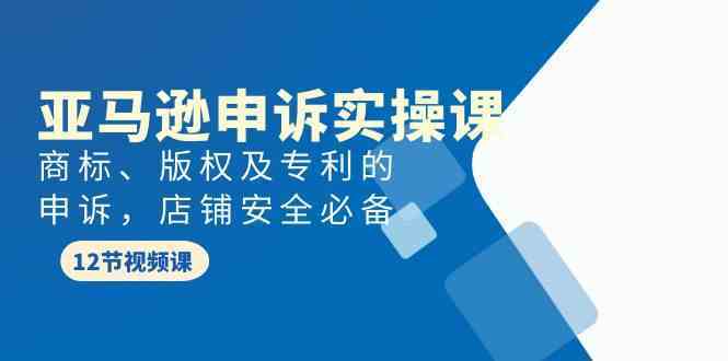 亚马逊申诉实战课，商标、版权及专利的申诉，店铺安全必备插图