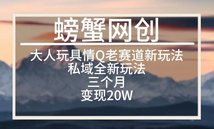 大人玩具情Q用品赛道私域全新玩法，三个月变现20W，老项目新思路【揭秘】插图