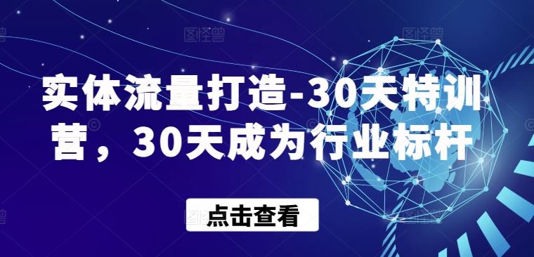 实体流量打造-30天特训营，30天成为行业标杆插图