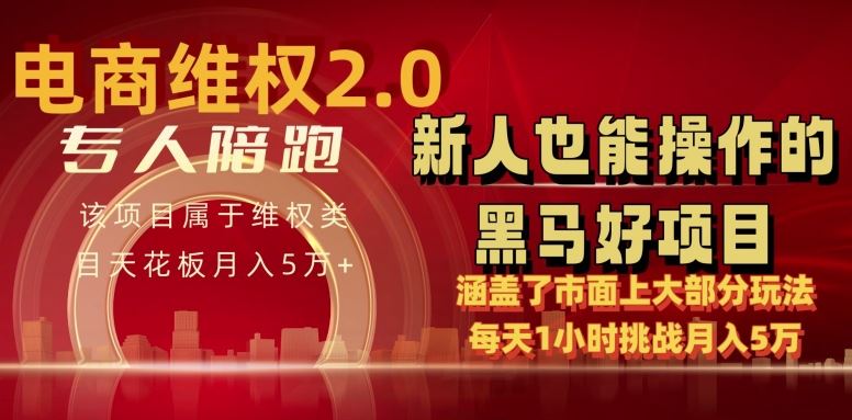 电商维权 4.0 如何做到月入 5 万+每天 1 小时新人也能快速上手【仅揭秘】插图