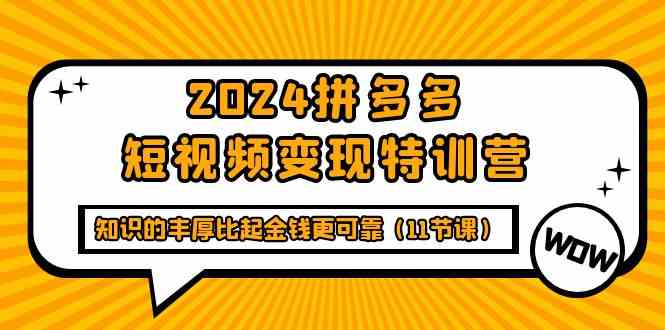 （9817期）2024拼多多短视频变现特训营，知识的丰厚比起金钱更可靠（11节课）插图