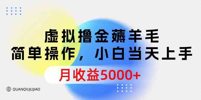 （9864期）虚拟撸金薅羊毛，简单操作，小白当天上手，月收益5000+插图