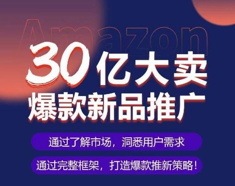 亚马逊·30亿大卖爆款新品推广，可复制、全程案例实操的爆款推新SOP插图