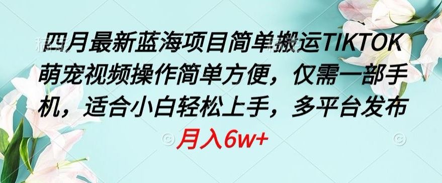 四月最新蓝海项目，简单搬运TIKTOK萌宠视频，操作简单方便，仅需一部手机【揭秘】插图