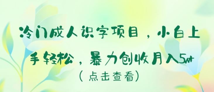 冷门成人识字项目，小白上手轻松，暴力创收月入5w+【揭秘】插图