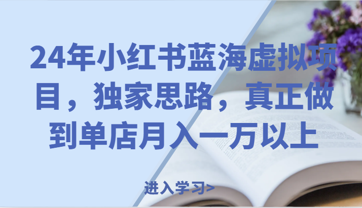 24年小红书蓝海虚拟项目，独家思路，真正做到单店月入一万以上。插图