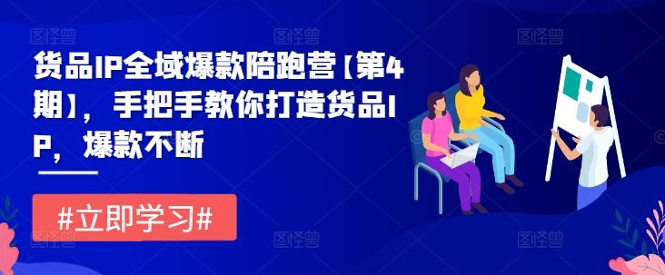 货品IP全域爆款陪跑营【第4期】，手把手教你打造货品IP，爆款不断插图